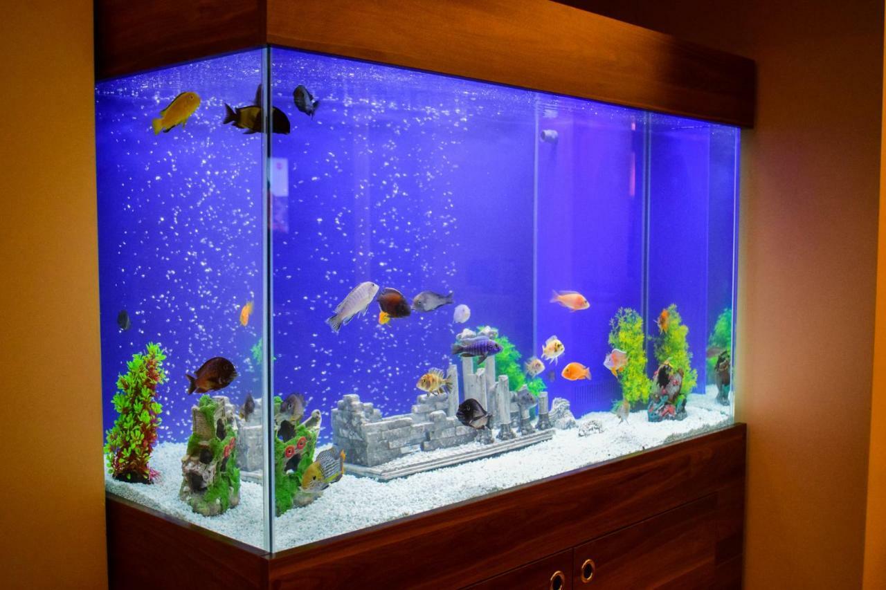 Mekke Hotel อิสตันบูล ภายนอก รูปภาพ